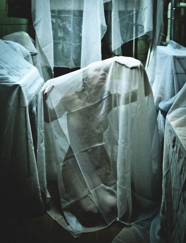 ..........photo preview