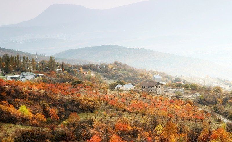 Осенний сад.photo preview