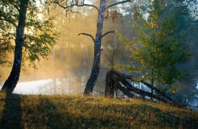 В утреннем светеphoto preview