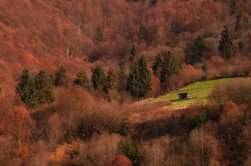 Осенний Форпостphoto preview