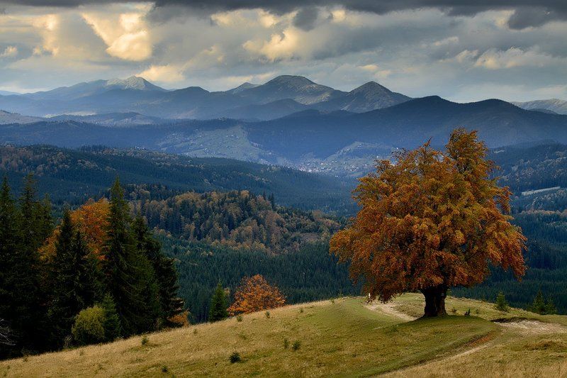 На семи ветрах...photo preview