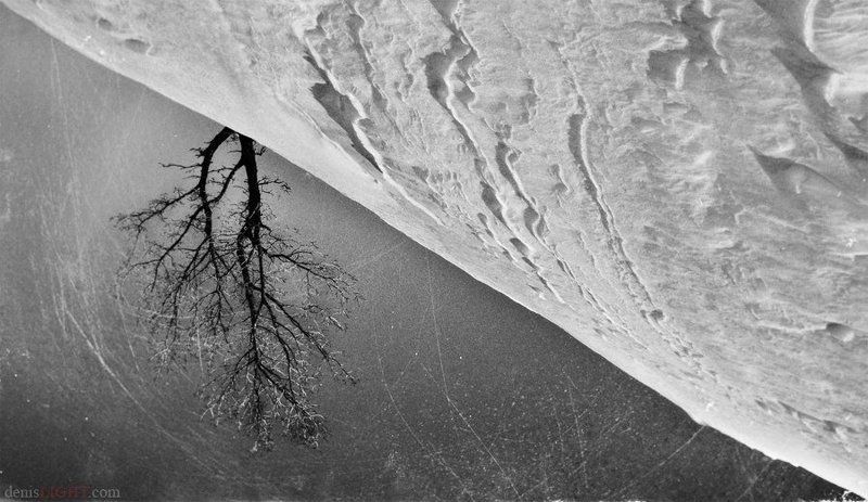 Root of hermonphoto preview