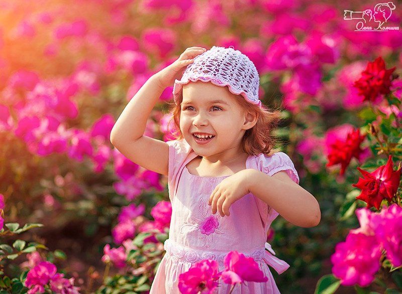 В аромате розphoto preview