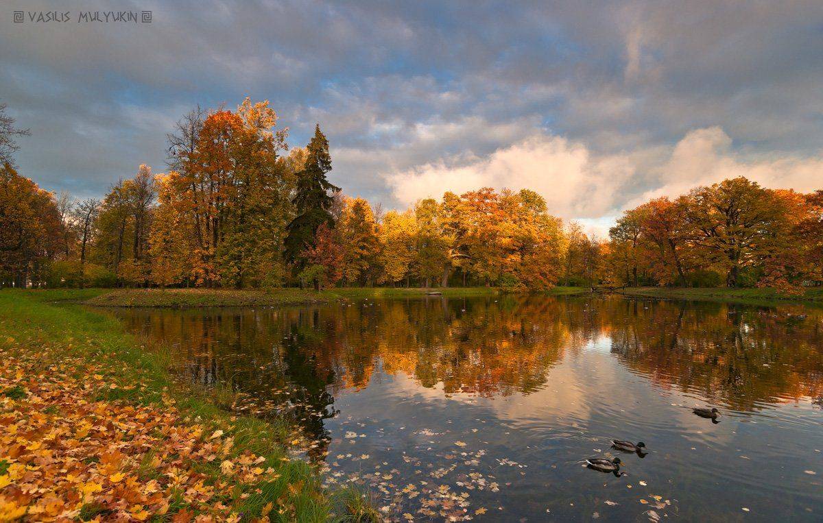 В Александровском парке ... К .... Автор: mulden , mulden