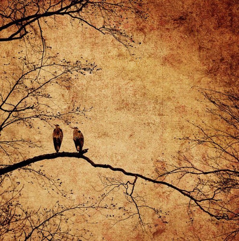 we all fall in love sometimephoto preview