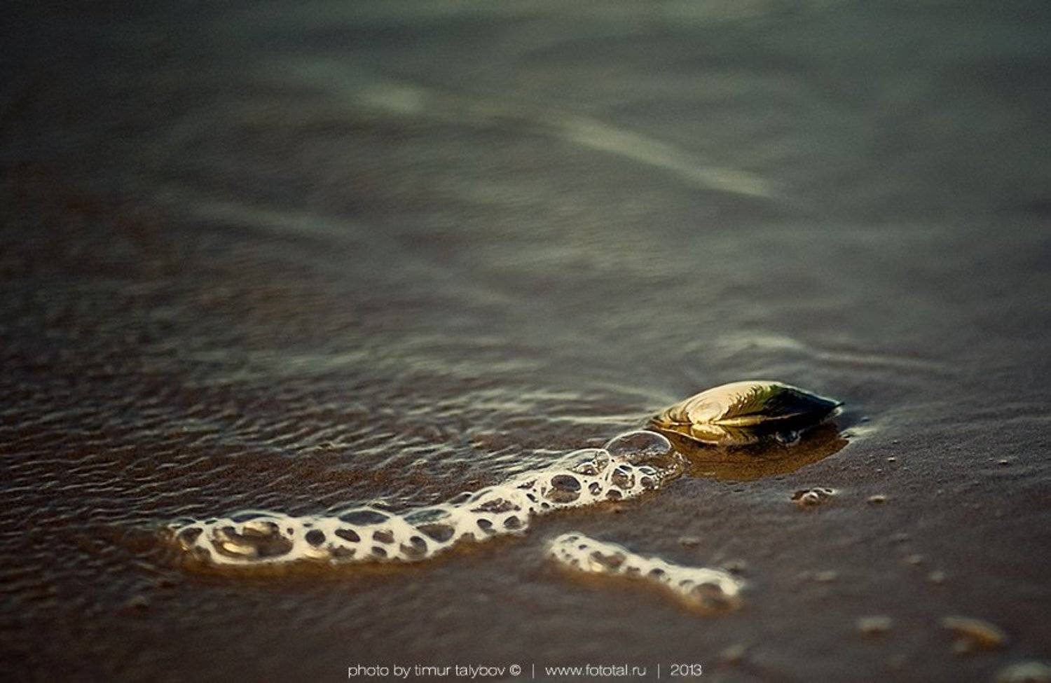 , Тимур Талыбов