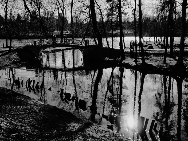 Немного солнца в холодной водеphoto preview