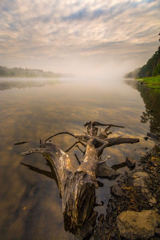 утро туман река лето облака Речная photo preview