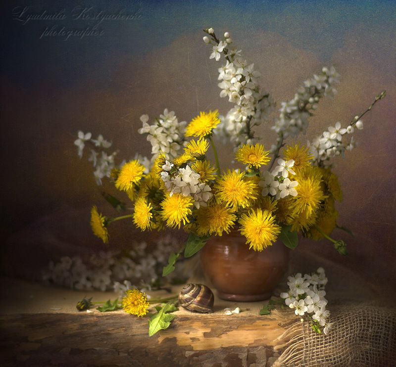художественное фото,натюрморт,букет с цветами,одуванчики. Одуванчики с улиткой.photo preview