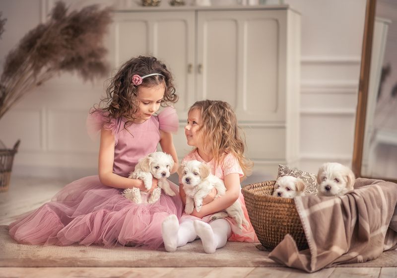 Пушистые историиphoto preview