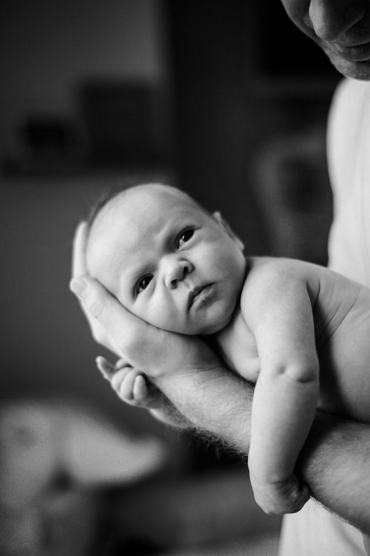 малышка,портрет,семейная фотография довериеphoto preview