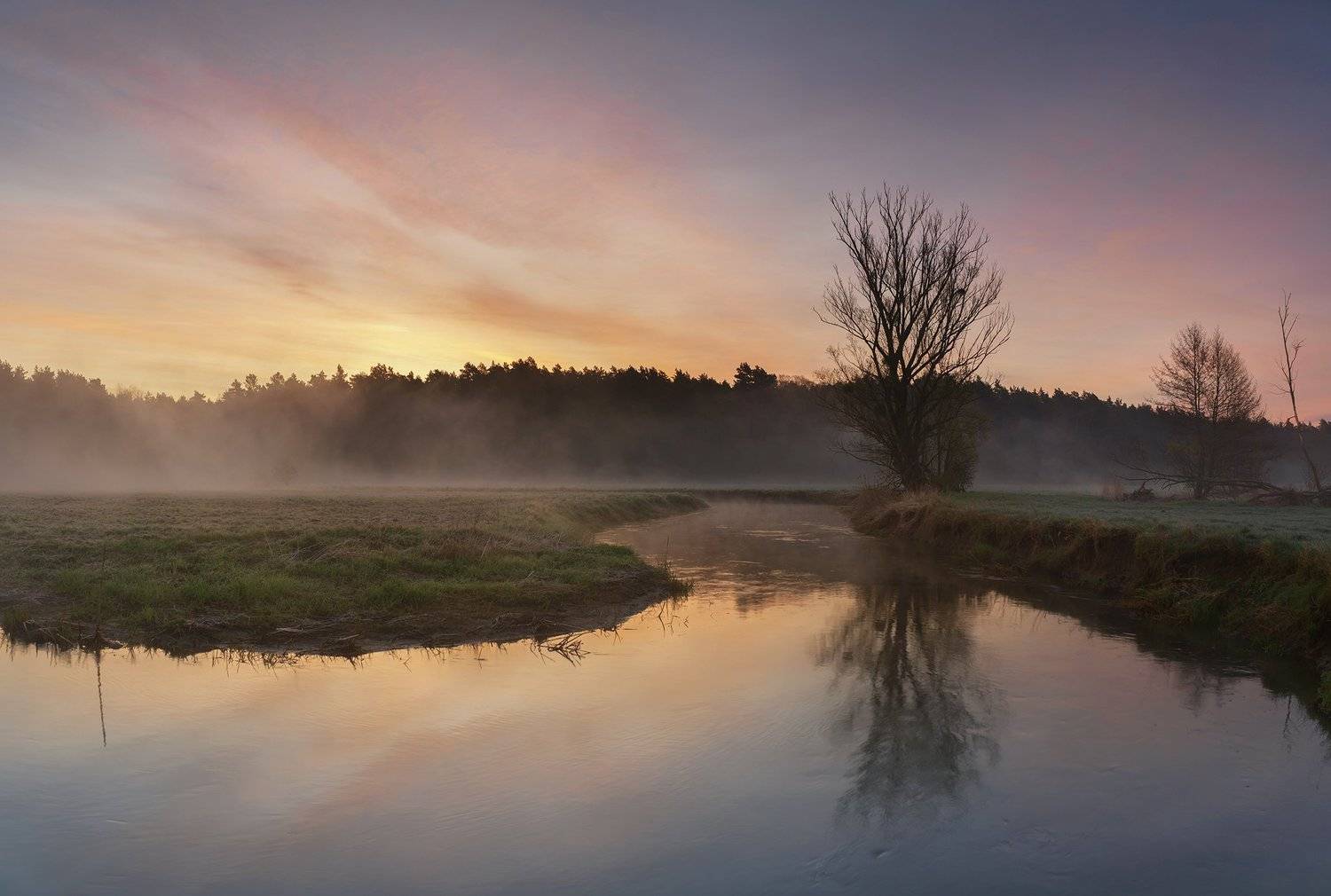 sunrise, river, tree, nature, landscape, morning, spring, sun, day, Lukasz Zugaj