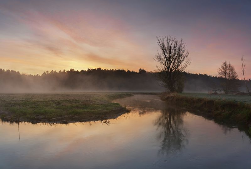 sunrise, river, tree, nature, landscape, morning, spring, sun, day Wierzyca riverphoto preview