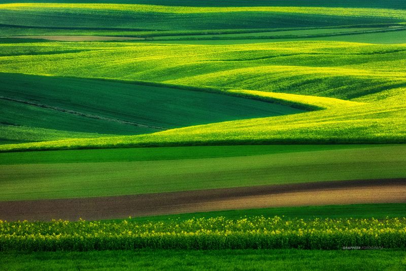 landscape, fields, rpowroznik, springtime three colors...photo preview
