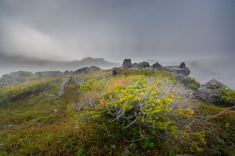 туман горы скалы урал лето утро Блуждая в туманеphoto preview