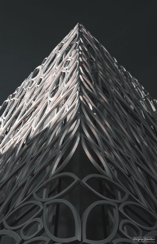 architecture, modern, design, city, urban, light, geometry, abstract, dark, petals, russia, rostov on don Лепесткиphoto preview