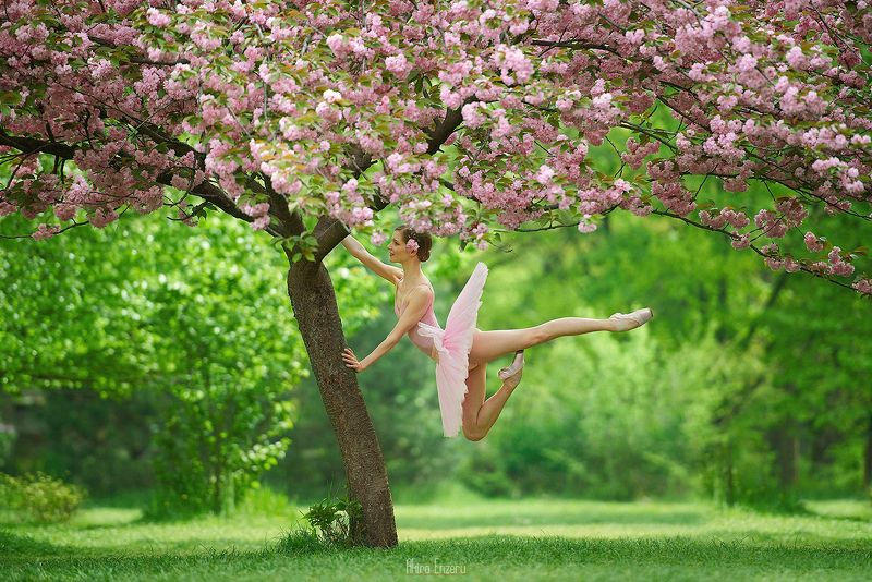 ballerina, dance, dancing, portrait, street, outdoor Японская вишняphoto preview