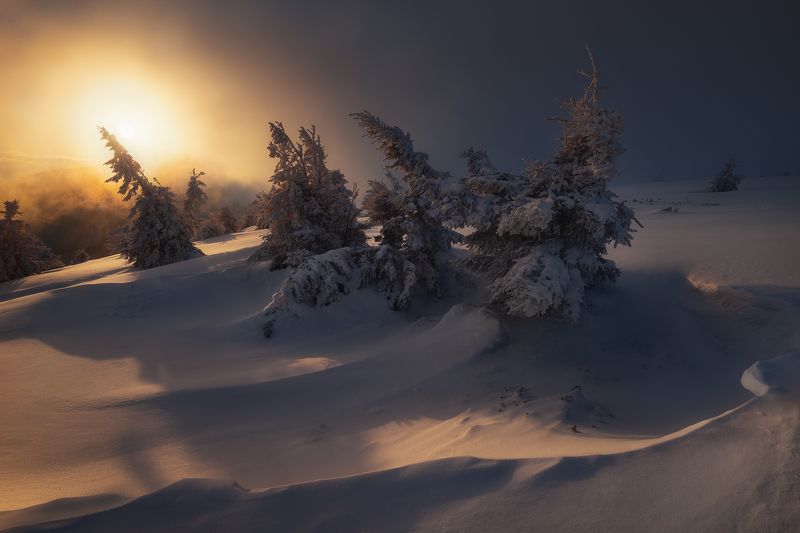 Lights and shadowsphoto preview