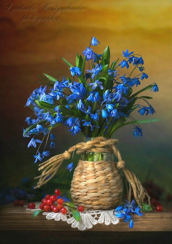 художественное фото,натюрморт,букет с цветами,пролески,калина.. Пролески с калинойphoto preview