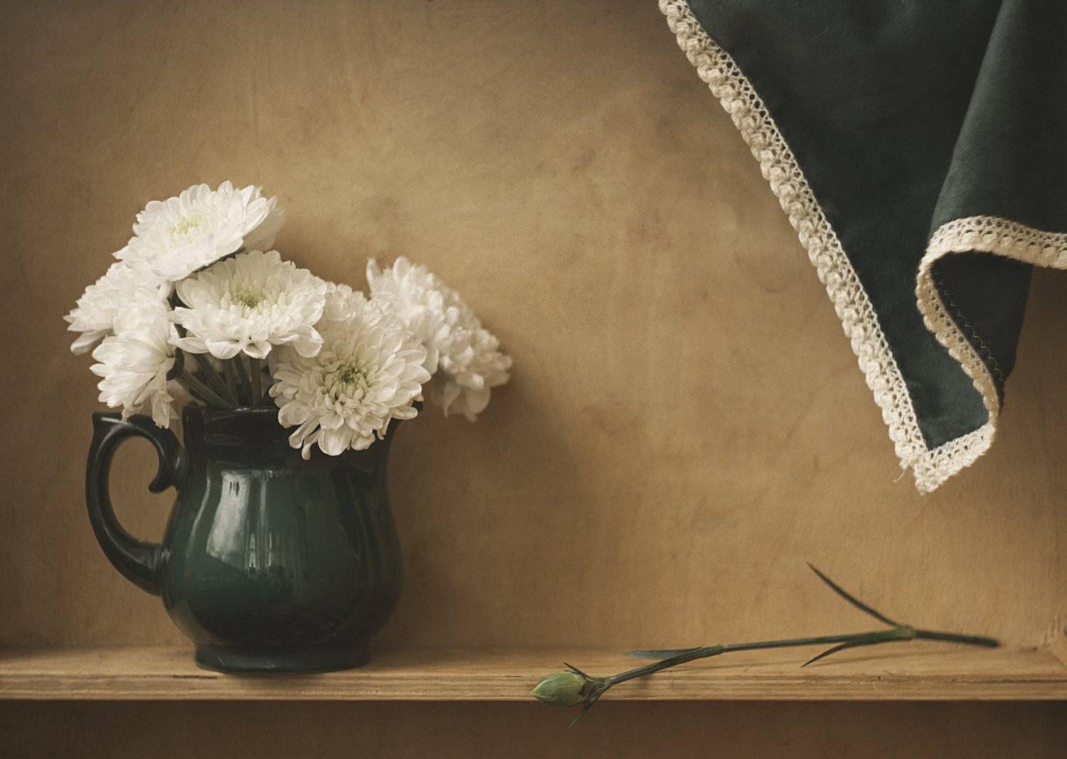 натюрморт, минимализм, цветы, Ольга Алексейчик