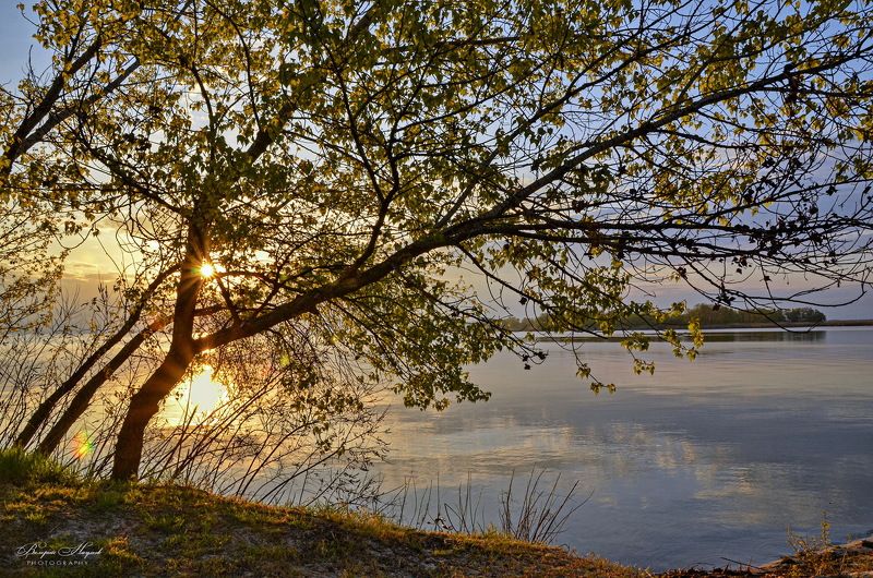 утро, май, рассвет, восход, небо, облака, отражение, тишина, первый листочки Утро Первомаяphoto preview