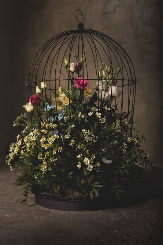 Под запретомphoto preview