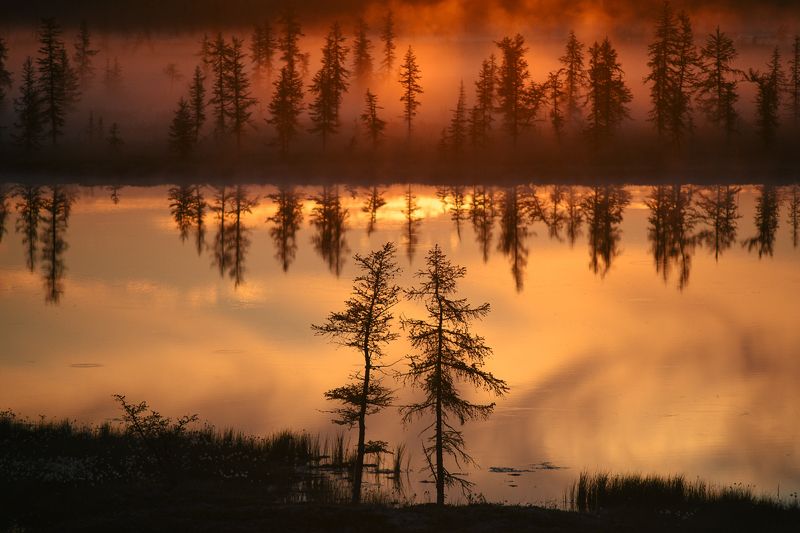 nikon, россия, пейзаж Лесное свиданиеphoto preview