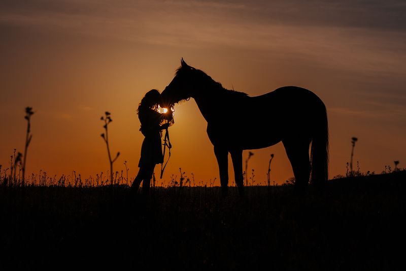 силуэтная фото photo preview