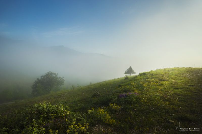 magic land Magic Landphoto preview