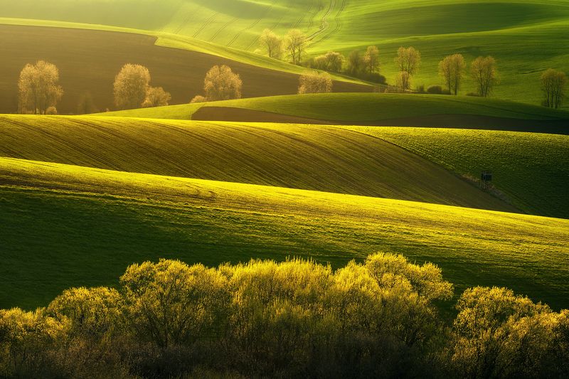 Golden Hourphoto preview