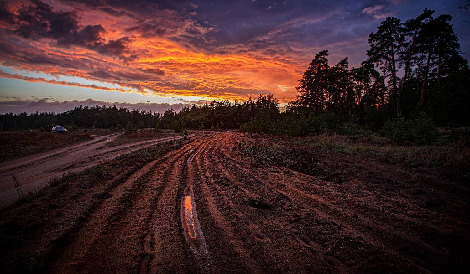 Сельцы,дождь. 2021. Автор: Владимир Верендеев , Владимир Верендеев