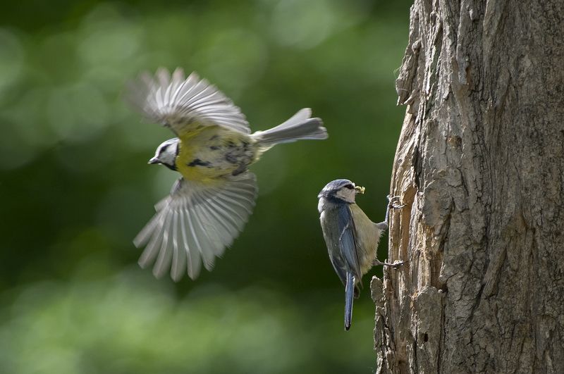 Семьяphoto preview