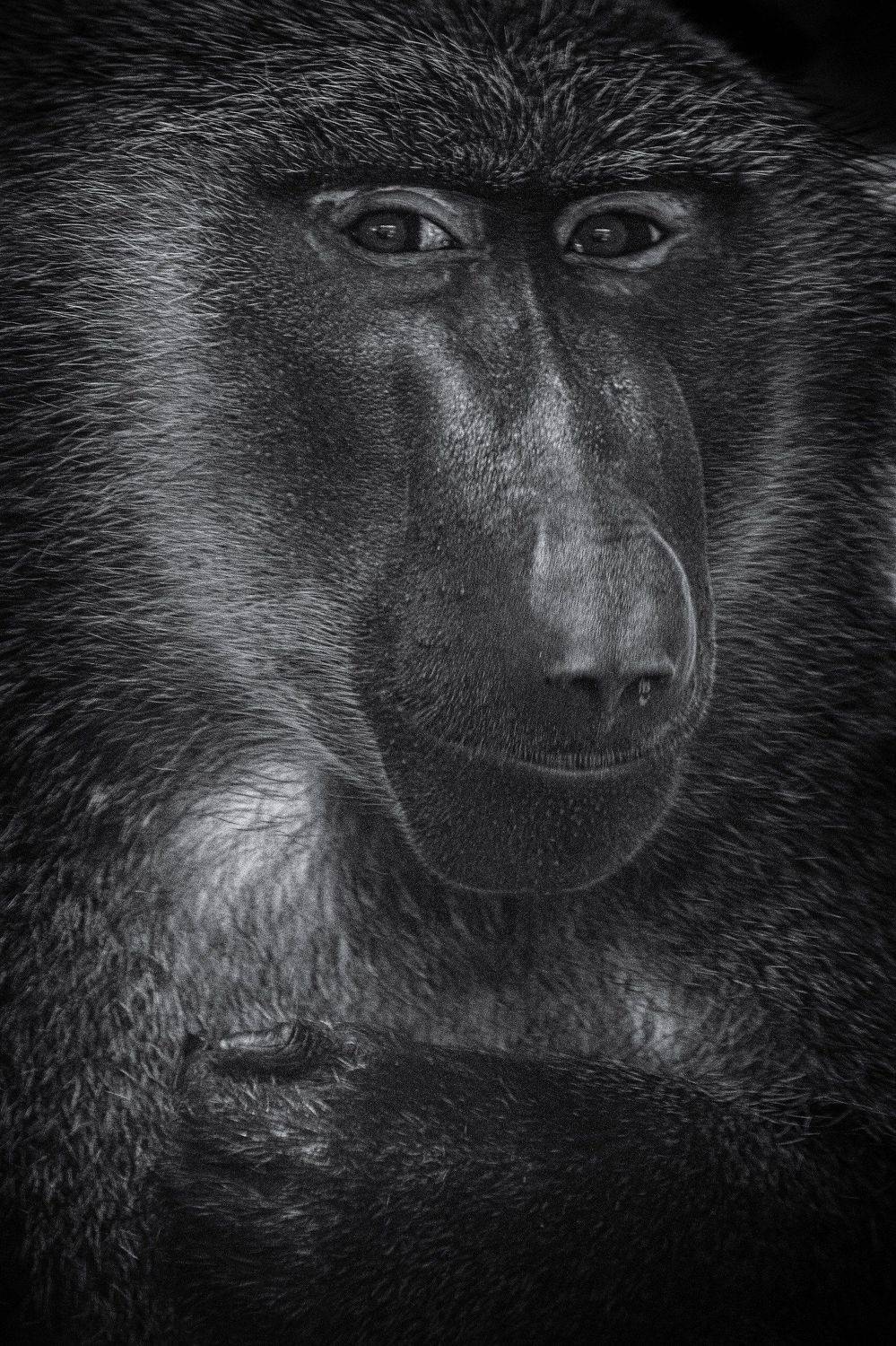 ***. Автор: Юрий Пужалин , Юрий Пужалин