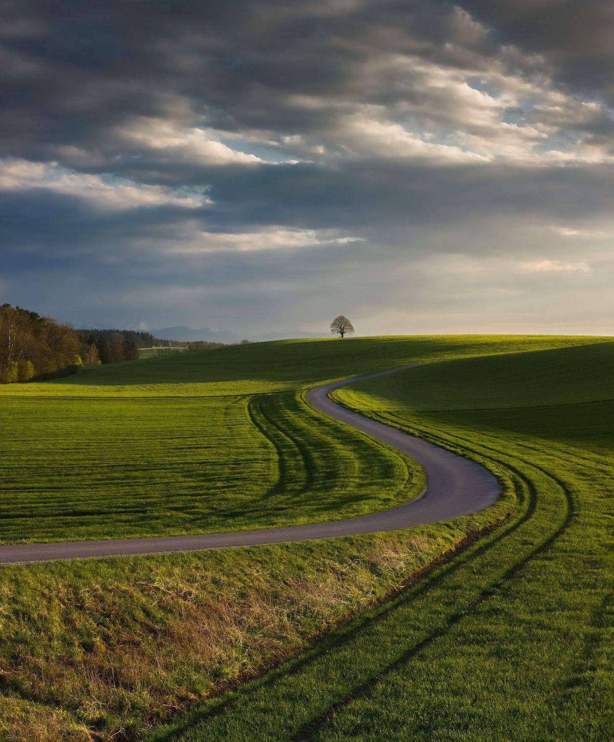 германия, бавария, горы, облака, весна, Геннадий Финенко