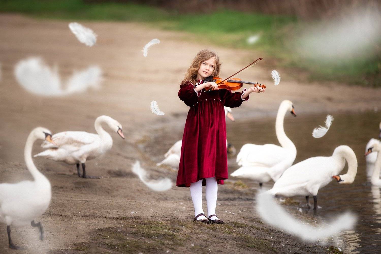 Автор: Кристина Дугина , Кристина Дугина