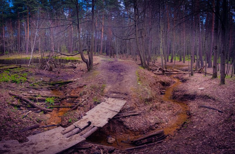 лесной, ручей Лесной ручей фото превью