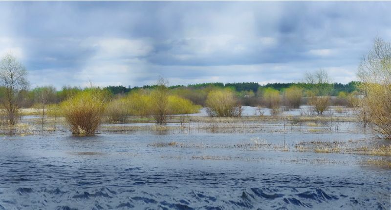 Половодье на Припятиphoto preview