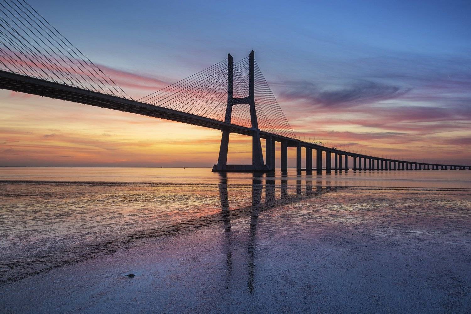 Автор: Biliana Stefanova , Biliana Stefanova