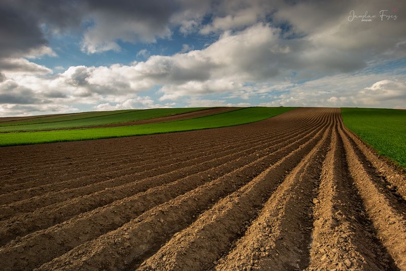 Za dalą dal.photo preview