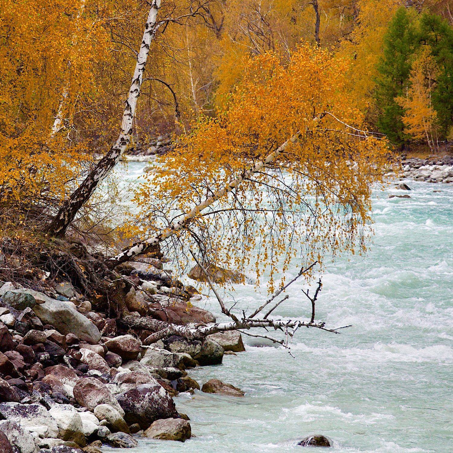 , Мазурин Евгений