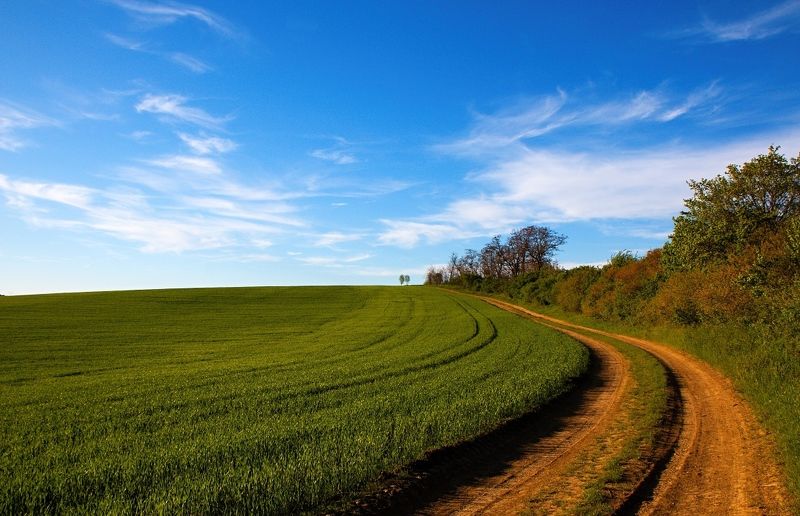 On the way upphoto preview