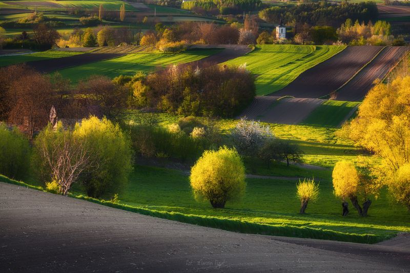 In the Polish countryside. фото превью