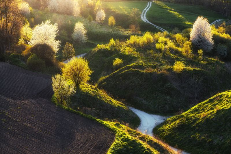 Hidden route. фото превью