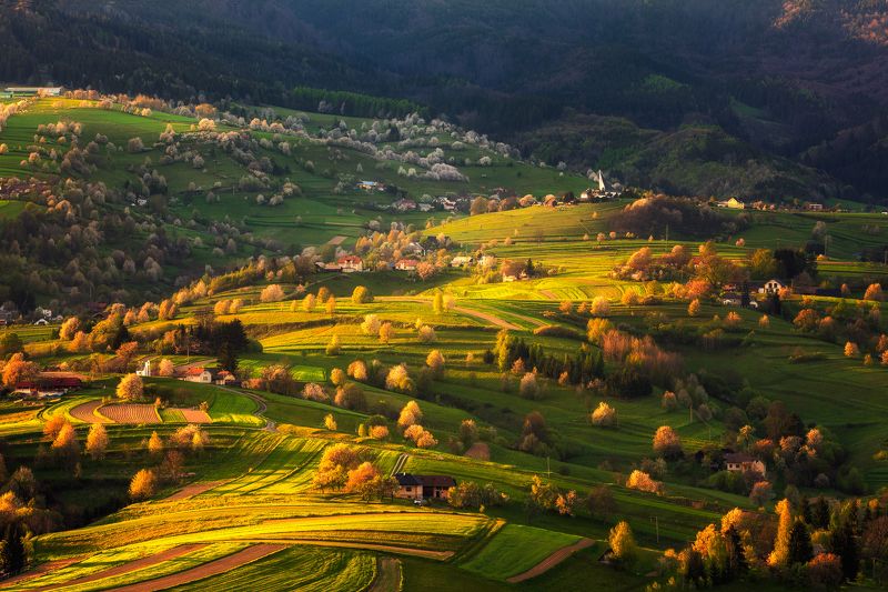 Evening countrysidephoto preview