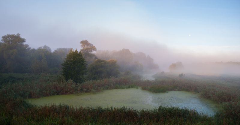 Утроphoto preview