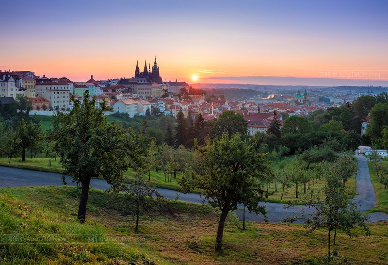 nikon, color, postcard, picturesque, landmark, europe, prague, praha, travel, urban, architecture, iconic, sunrise Восход над Прагой / Sunrise over Mala Stranaphoto preview