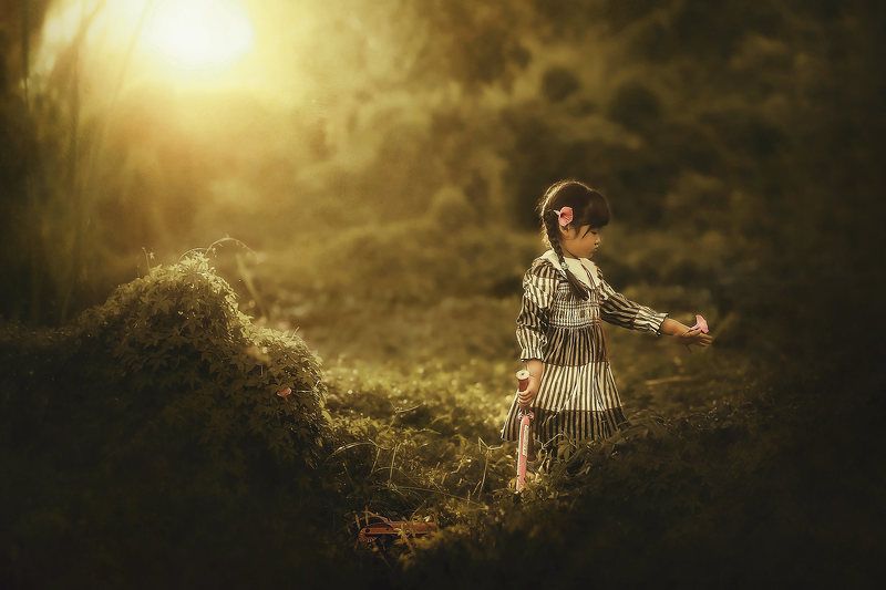 Rite of Fallphoto preview