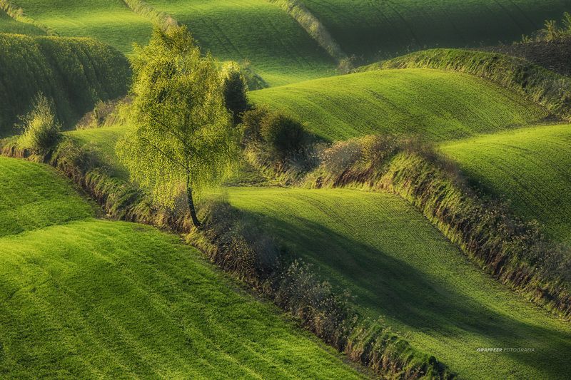 morning, light, shadow, landscape, fields, rpowroznik morning shadow...photo preview