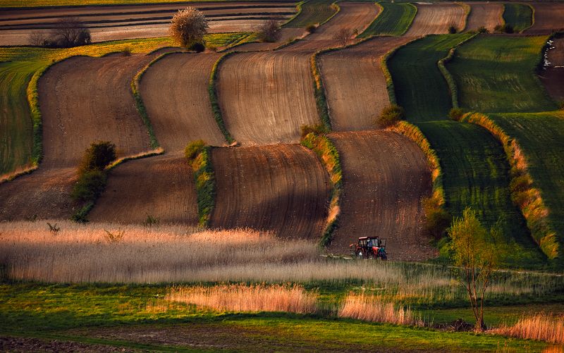 field, country, agriculture, rural, spring, evening, sunset, tractor Field ribbonsphoto preview