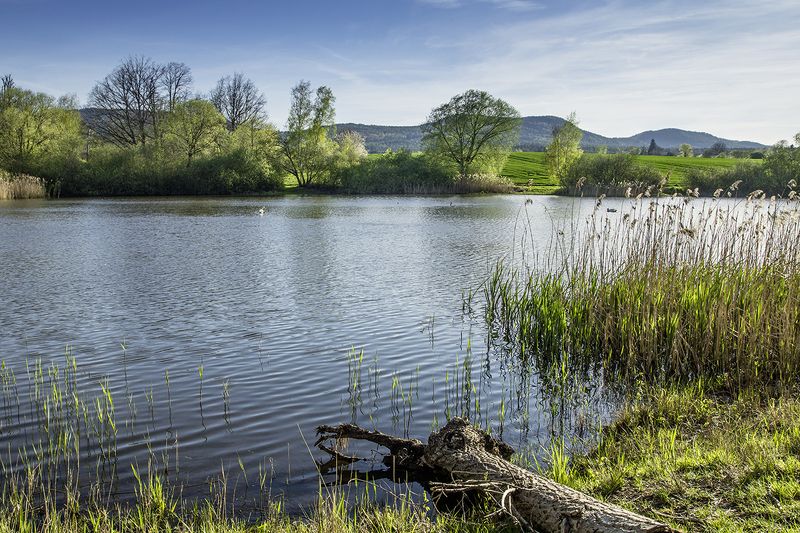 Пруд в Верхней Лужице.photo preview